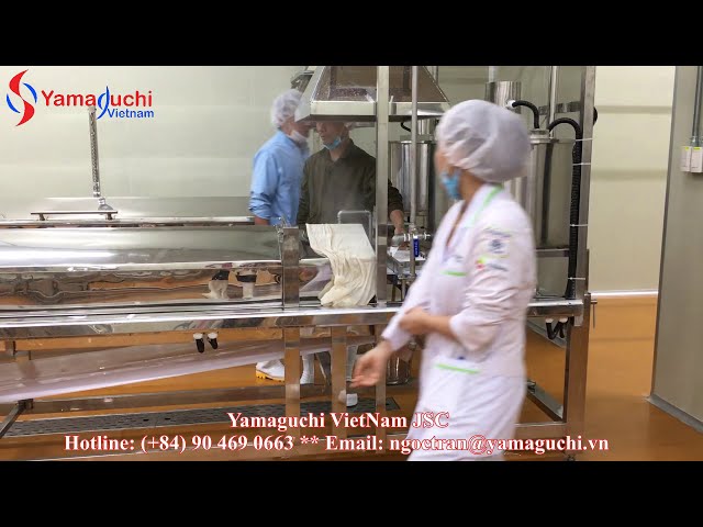 Pho noodle production line 200kg/h