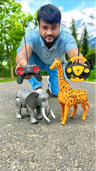 Ekta Rc Giraffe🦒and Remote wala Elephant🐘 Unboxing video
