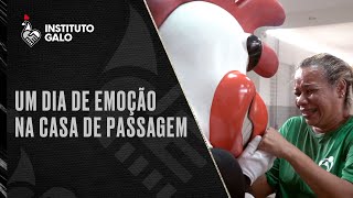 🐔EMOCIONANTE: GALO DOIDO NA CASA DE PASSAGEM CONTAGEM