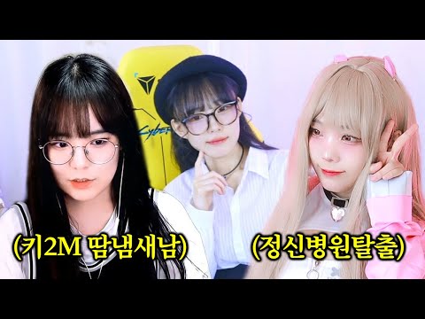 다주, 소풍 결혼시키기 대작전
