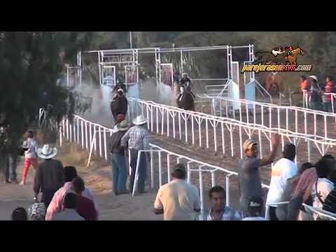 carreras caballo cuarto de milla - YouTube carreras caballo cuarto de milla - YouTube