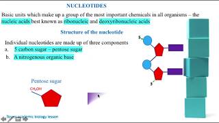 STRUCTURE OF A NUCLEOTIDE
