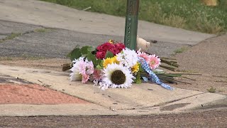 Chattanooga City Council hires consultant to help curb gun violence