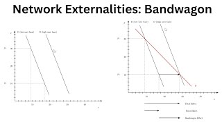 Network Externalities: Bandwagon Effect | Microeconomics