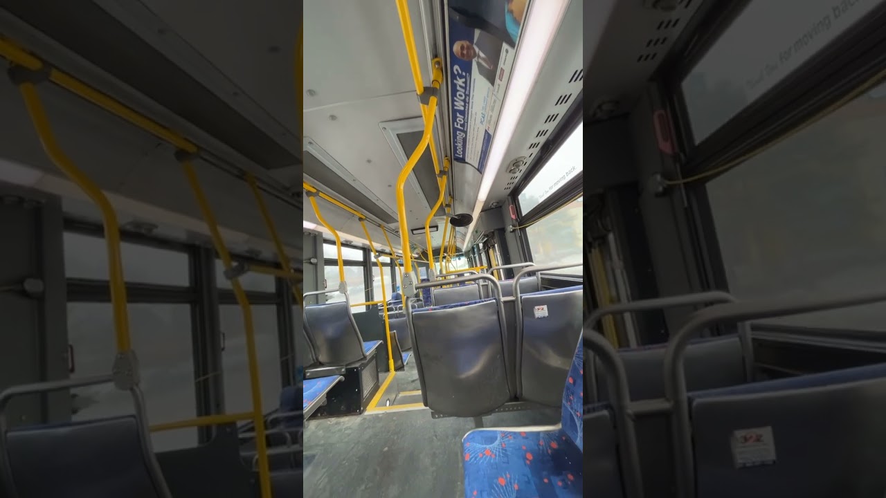 Mississauga Transit Miway 2010 Orion VII 3G BRT 1012 | 48 Erin Mills