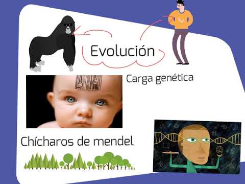 Vídeo: Què és l'eugenesia en biologia?