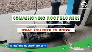 Commissioning a Root Blower: Step-by-Step Guide and Tutorial