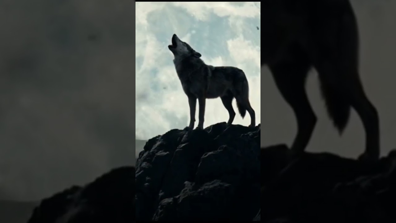 This Dark Country Song Feels Like a Sin You Can’t Forget 