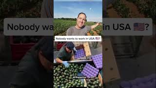 Nobody wants to work in the fields? 🇺🇸