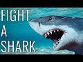 How To Fight A Shark - EPIC HOW TO