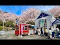 4時間で完売🍞行列が絶えない「赤い小さなパン屋」の怒涛の1日に完全密着｜ASMR【パン工房クルール】