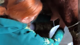 Среда Христос Воскресе 🥚