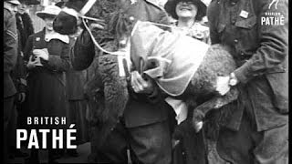 Our Day  (1914-1918)