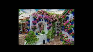 Emrah - 
