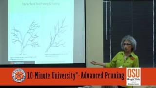 Advanced Pruning Methods for your Garden