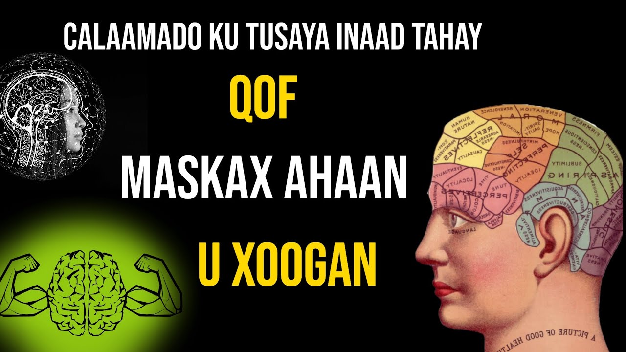 10 Calaamadood Oo Cajiib Oo Ku Tusaya Inaad Tahay Qof Maskax Ahaan U Xoogan