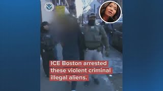 ‘Not true’: Mayor Wu pushes back on Homeland Security video criticizing Boston’s handling of ICE