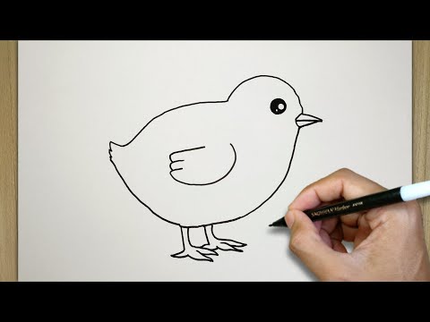 Cara Mudah Gambar Anak Ayam