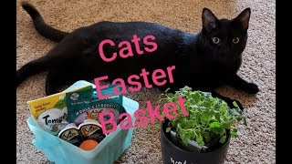 What I got my cats for Easter! 2019