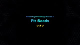 Pit Seeds | Donkey Kong Bananza