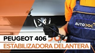 Montaje Bieleta delantera y trasera PEUGEOT 406: vídeo manual