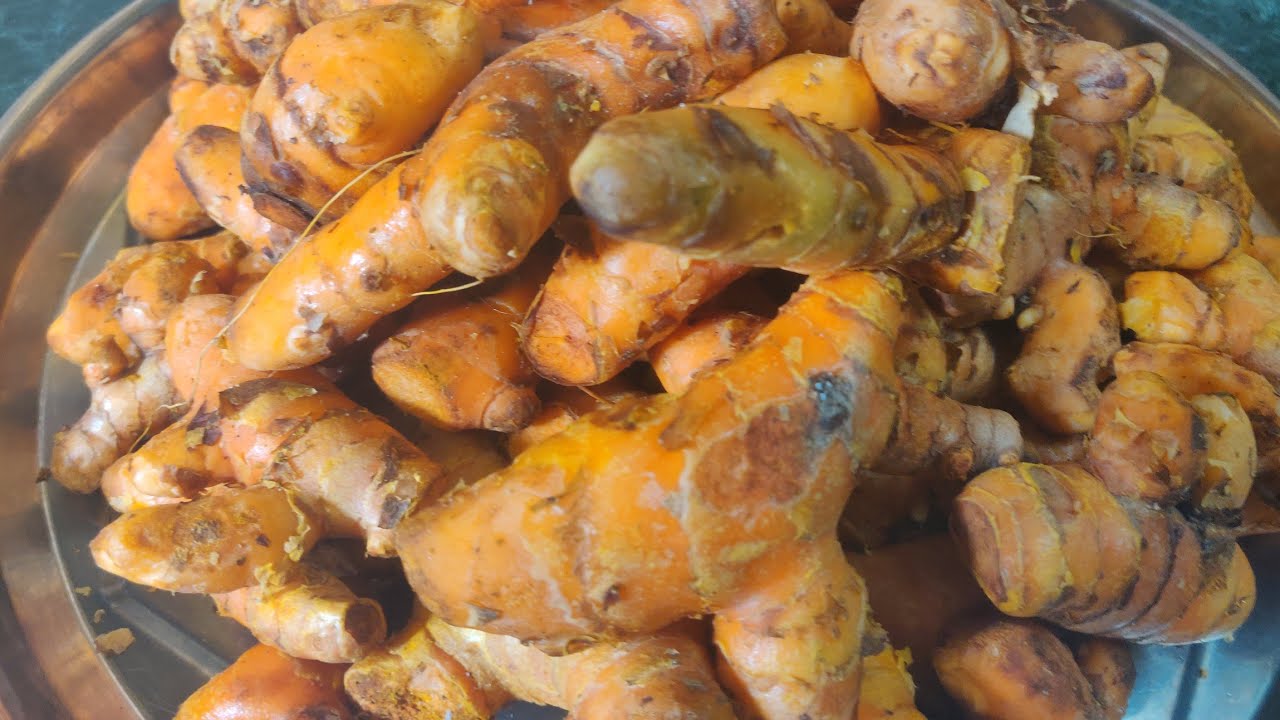   कच्ची हल्दी  ( Termeric) का powder कैसे बनाएं और हल्दी कैसे खानी चाहिए और एसके फायदे 