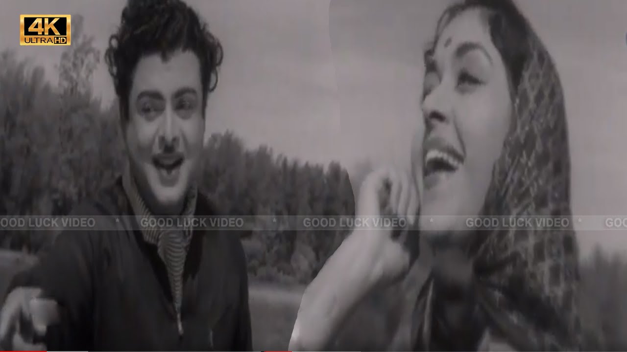      Kaadhal Enum Aatrinile song  T M Soundararajan P Susheela song