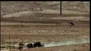 25 Jahre Audi Quattro