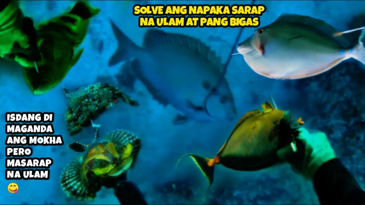 EP448:SOLVE ANG NAPAKA SARAP NA ULAM AT PANG BIGAS ISDANG DI MAGANDA ANG MOKHA PERO MASARAP NA ULAM