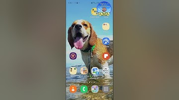 How to revert back to older  smule version (7.6.9.1)