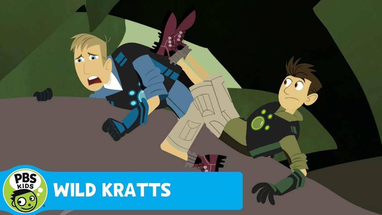 WILD KRATTS Indian Mongoose PBS KIDS YouTube wild-kratts-indian-mongoose-pbs-kids-youtube