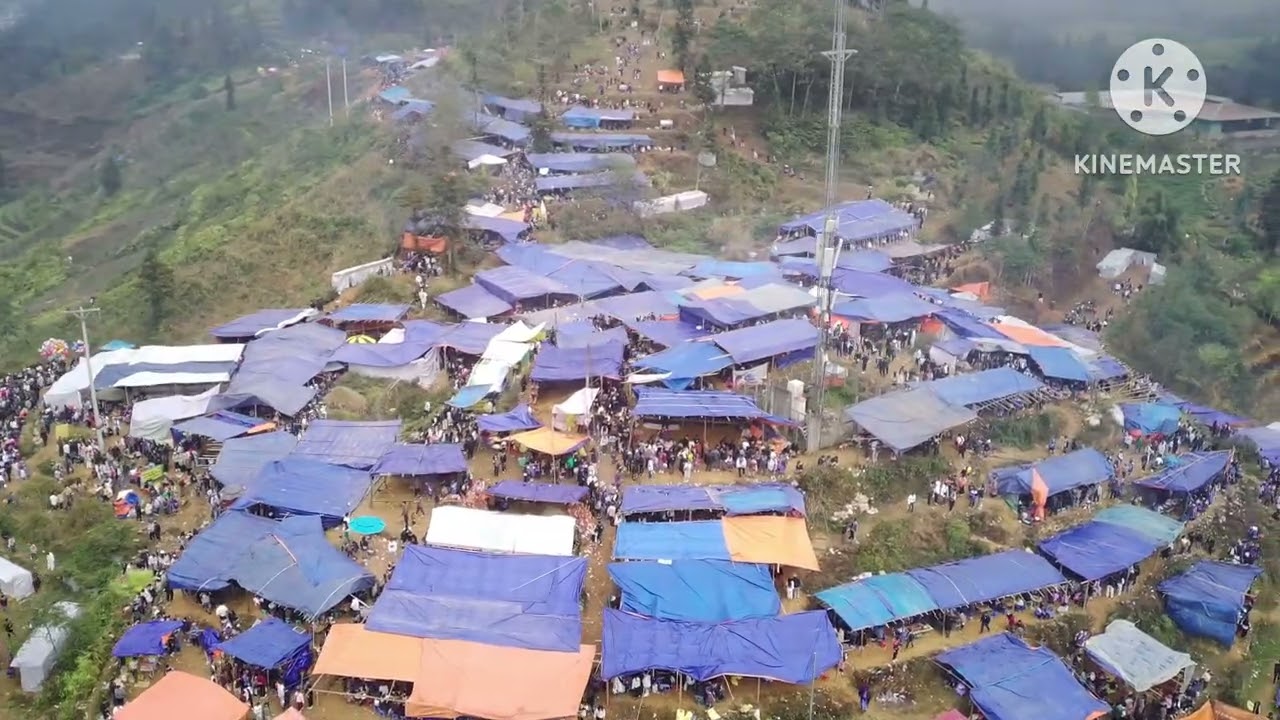 Lễ hội pha long 2026