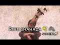Rihu Shahada в очень красивом нашид грустная нашид 