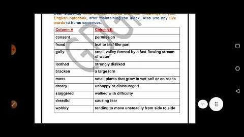 Grade 3 English Dated 04 06 2021 2