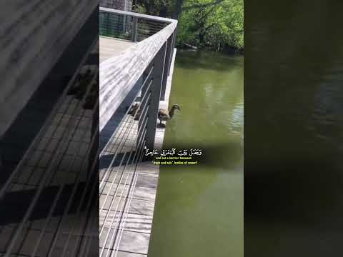 أمن جعل الأرض قرارا     