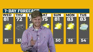 Celebrity Bear Weathercast for September 13th, 2023 Wealth