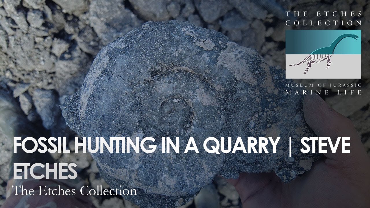 FOSSIL HUNTING IN A QUARRY | STEVE ETCHES
