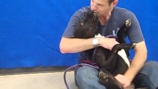 Betty A1293310