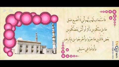 تلاوة خاشعة بصوت القارئ ناصر القطامي من سورة آل عمران