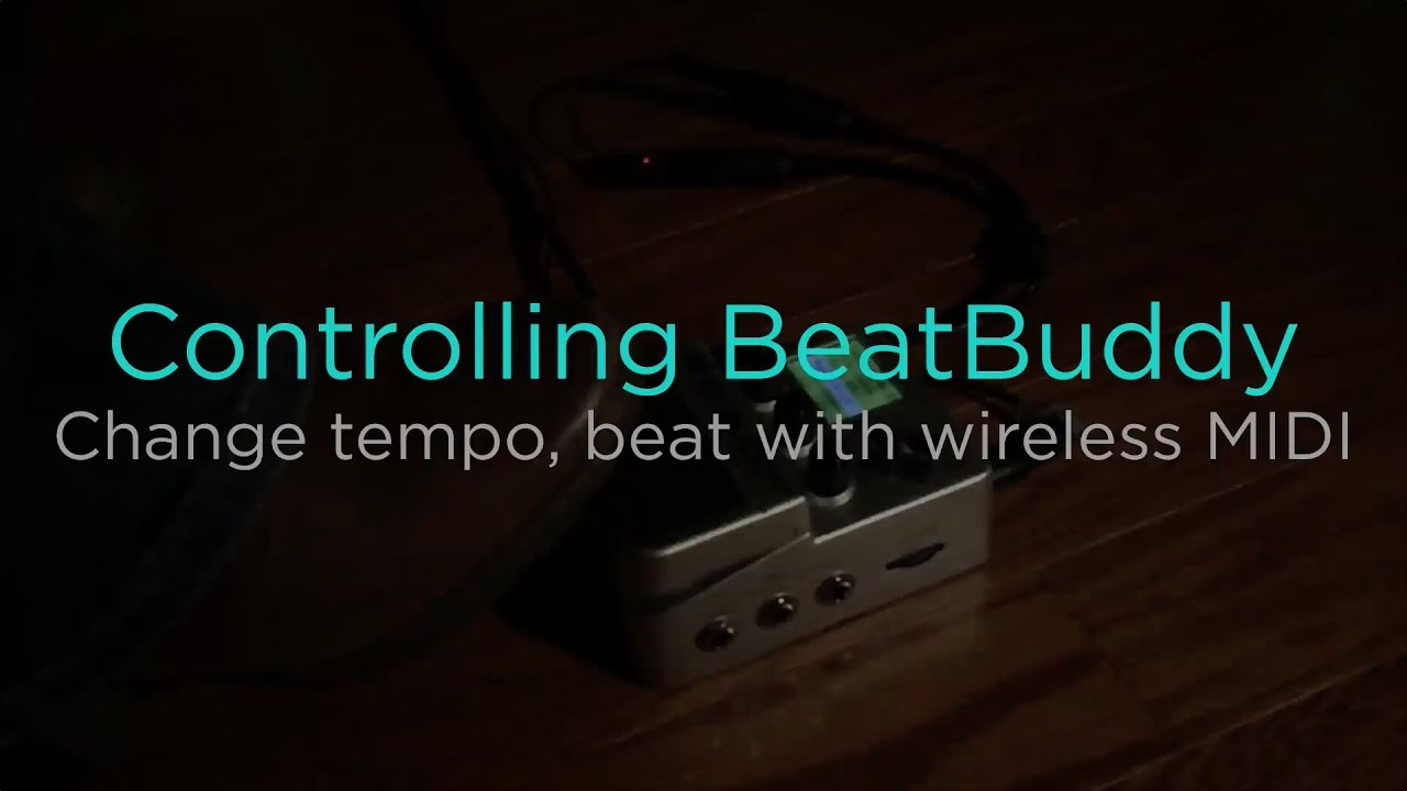 beatbuddy app