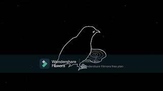 Blkbird Türkçe Çeviri