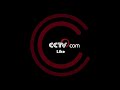 장관! 알을 깨고 나온 새끼 거북이 줄지어 바다로 기어 들어  | CCTV 한국어방송