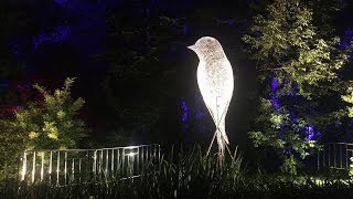 Светящиеся цветы, трехметровые птицы и другие световые инсталляции на Фестивале Вдохновение на ВДНХ