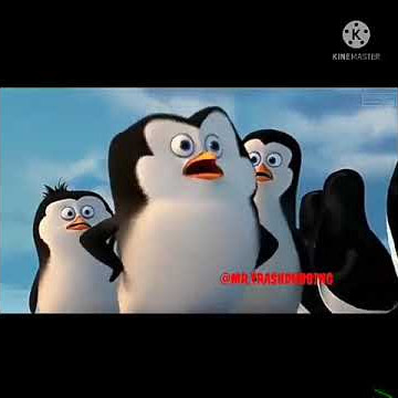 meme punguin bandar bkp part 2#meme