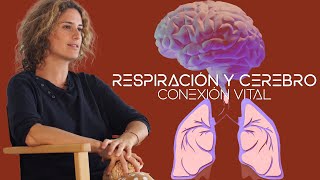 La influencia de la respiración | Neurociencia con Nazareth Castellanos