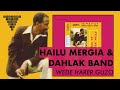 Hailu mergia  dahlak band  anchin kfu ayinkash