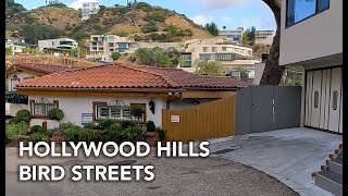 Driving Hollywood Hills, The Bird Streets