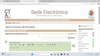 3. Options for a SeGEX v2.0 file (Cartagena City Council)