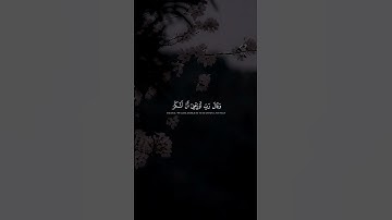 ﴿فَتَبَسَّمَ ضَاحِكࣰا مِّن قَوۡلِهَا﴾ | القارئ محمد صديق المنشاوي #قرآن #اكسبلور.