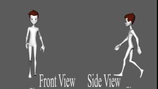 The Generic Walk Cycle